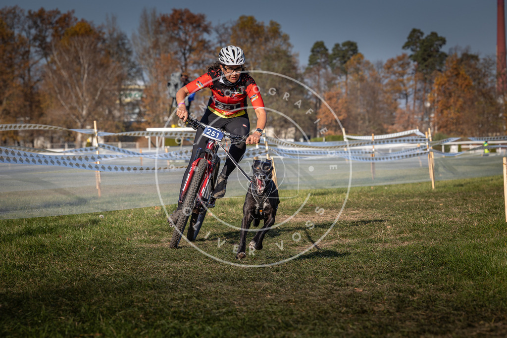 CaniXpix_0L8A6854 | Hundefotografie, Tierfotograf, Pfotenfotografie, Fotoshooting Hund, Hunde Portrait, Hundesport, Hundeportraits, Heideshooting, Hunde, Sportfotograf, Hundefotograf, Turnierhundsport, THS,  - Realisiert mit Pictrs.com
