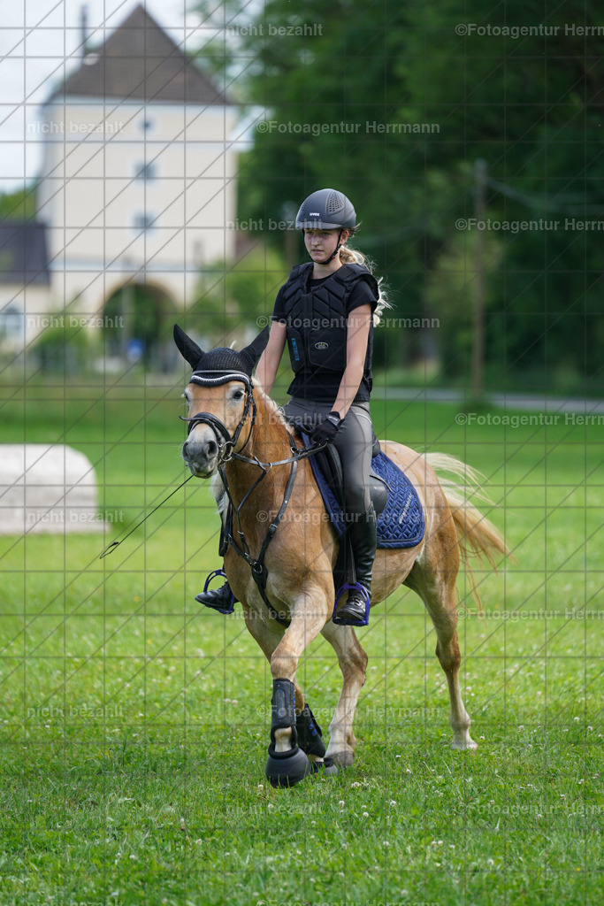 20240622-FAH07967 | Turnierfotografen Bayern, Reitsportbilder aus dem Geländekurs mit Felix Etzel auf dem Gut Waitzacker 2024
