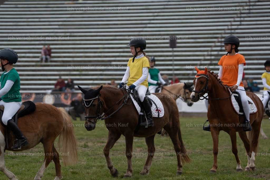 PI26_show_Jan_Picutures7C_06832.jpg | working equitationturnier fotograf videograf stoibphotography marixx film working equitation deutschland reitsport turnierfotografie eventfotografie equestrian events