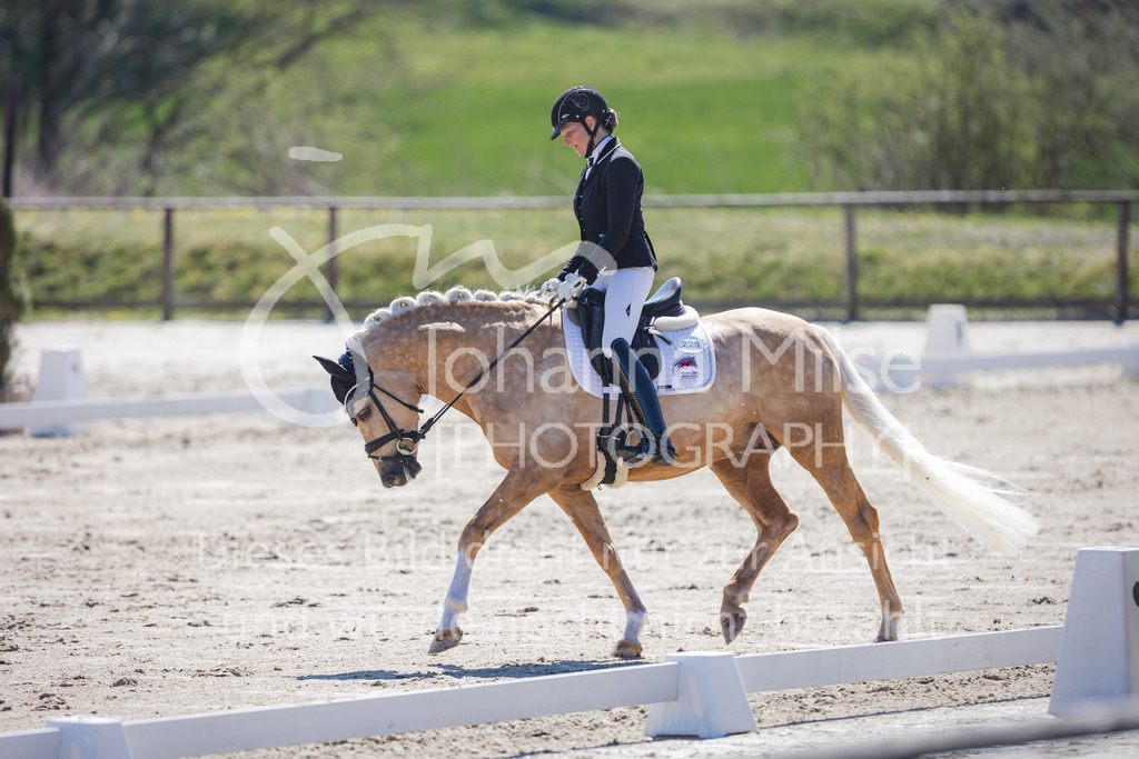 220418_Dressurpferde-L-149 | Frühlingsfest der Pferde
Herford
18.April 2022
Dressurpferdeprfg. Kl.L DL2