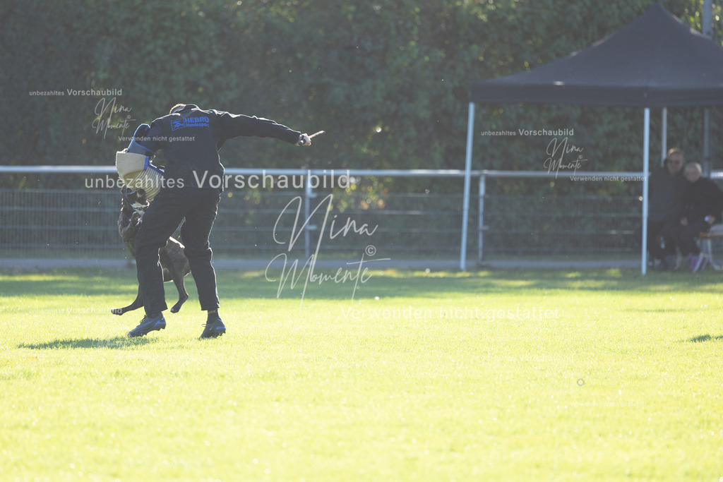 _16A4893 | Einzigartige Fotos von Hunden & Menschen –Actionfotos, Portraits, Vereinsaufnahmen & Paarshootings – authentisch, lebendig & mit Herz.