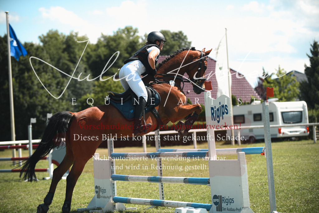 DSC_6947 | Pferde- und Turnierfotografie in Westsachsen. Pferdeportraits, Auftragszeichnungen und intuitive Kunst.