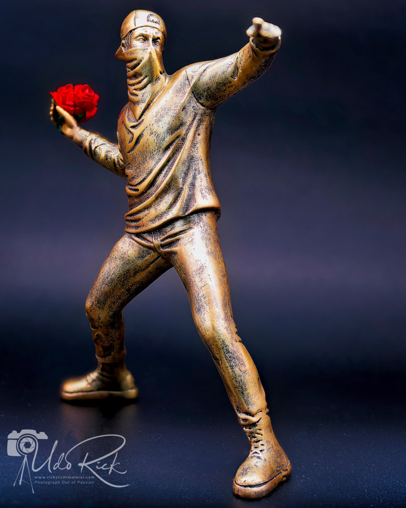 Flower_Power | Entdecken Sie Fotografie aus Leidenschaft: Auftragsfotografie, HD-Fotos, Geschenkartikel aus Ihren Bildern und vieles mehr. Beauftragen Sie uns für besondere Momente!