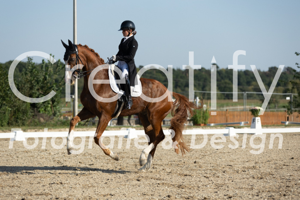 IMG_6405 | Creatify Fotografie
