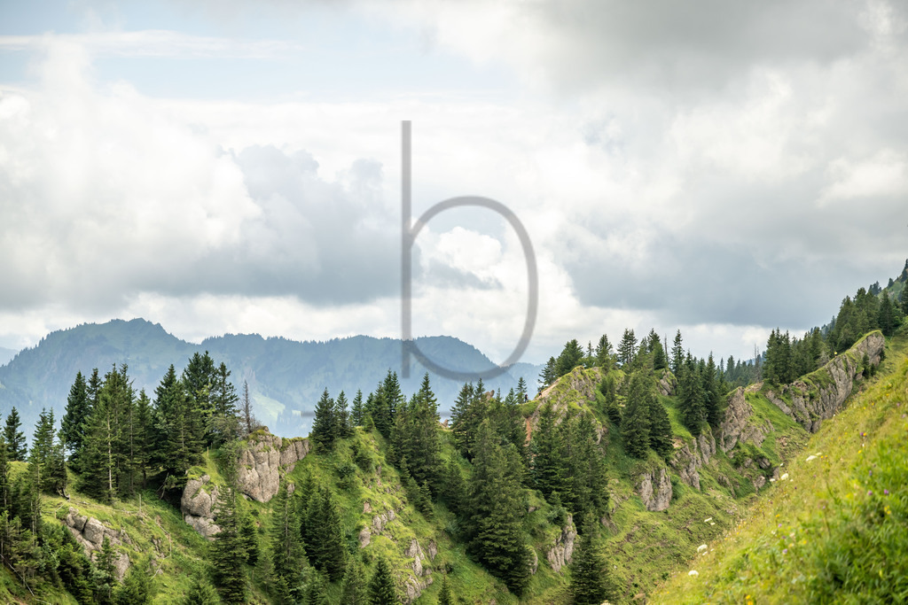 35. Gebirgsmarathon | 35. Gebirgsmarathon 2024 am 03.08.2024 in Immenstadt. Einer der anspruchsvollsten​und ältesten Bergläufe​Deutschlands im Naturpark Nagelfluhkette!(Foto: Dominik Berchtold/www.dberchtold.com)Instagram: @d_berchtold_foto 