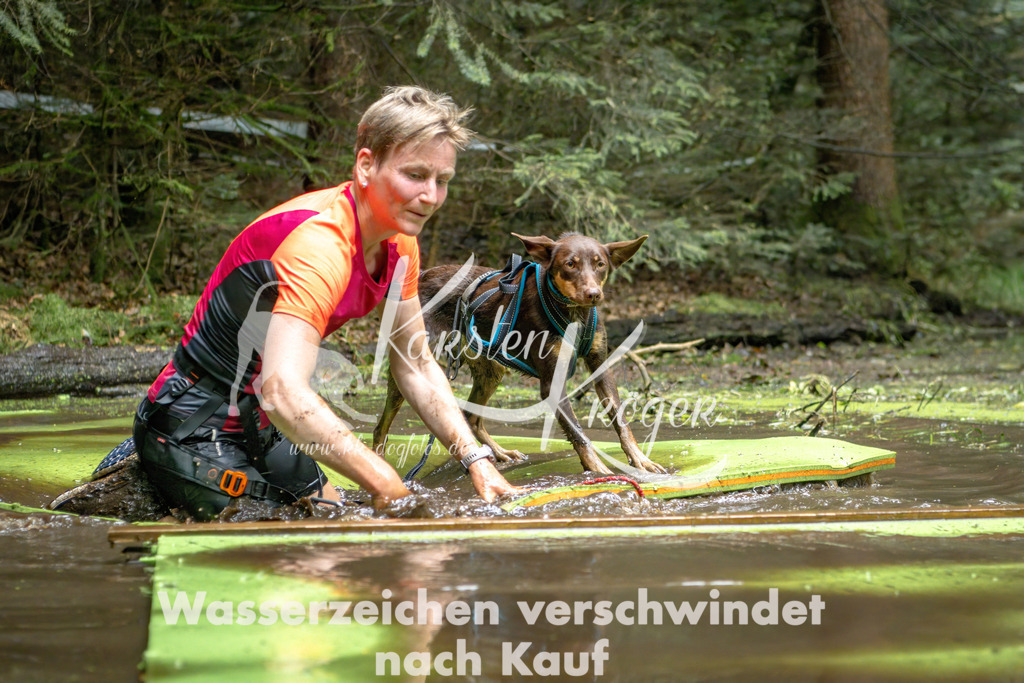1539_ZZ91675-Bearbeitet | kk-dogfotos
