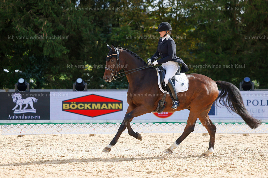 09_2-174-DRESSUR  S_  -StoibPH-5783 | working equitationturnier fotograf videograf stoibphotography marixx film working equitation deutschland reitsport turnierfotografie eventfotografie equestrian events