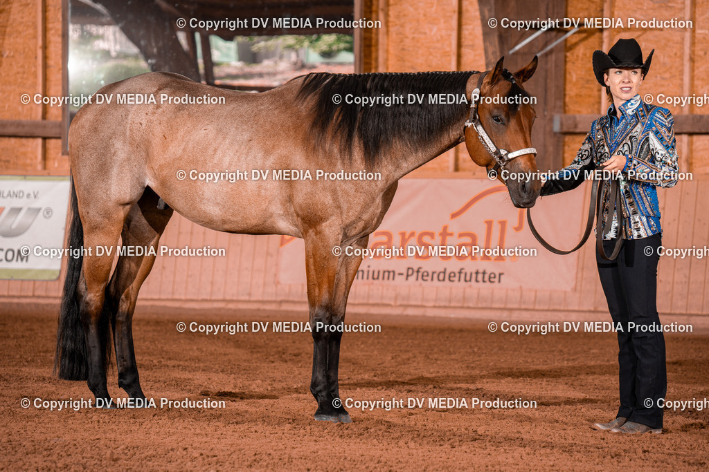 NE200013 | dv-media-shop - Realisiert mit Pictrs.com