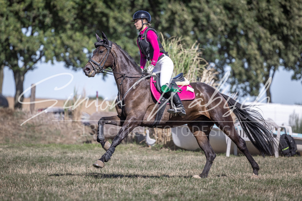 20260906-_3LI4664 | Tierfotografie Pferde, Hunde, Katzen, Haustiere.
Turnierfotografie Reitturniere, Reiten, Springreiten, Dressur in Hanau, dem Main-Kinzig-Kreis und dem Rhein-Main- Gebiet um Frankfurt
