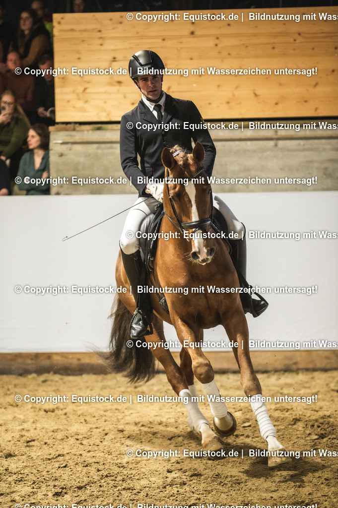 20240302_Hengstvorstellung_Marbach_TOMsPiC_0344 | equistock