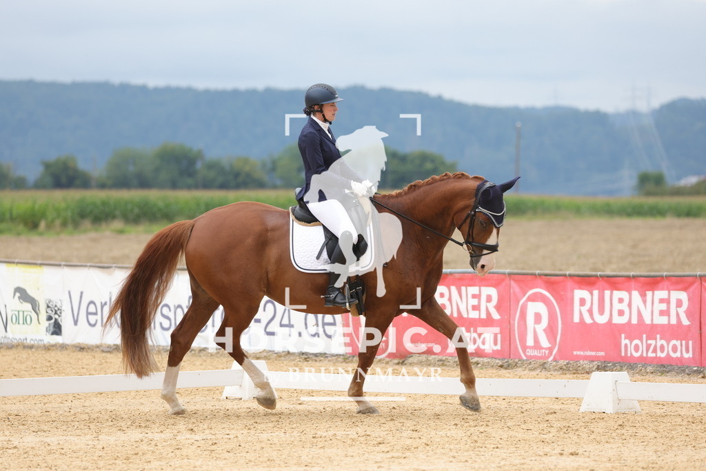 0P6A8623 | Willkommen bei Brunnmayr - Design & Fotografie – Ihrem Spezialisten für Reitturniere und Pferdeveranstaltungen in Oberösterreich, Salzburg und Bayern! Seit über 17 Jahren sind wir leidenschaftlich dabei.