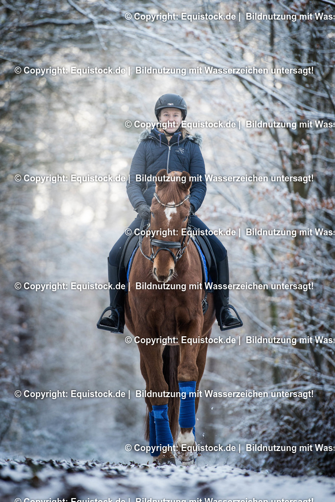 TS_20171201_Winterwald_Fuchs_0003 | Foto: Thomas Hartig