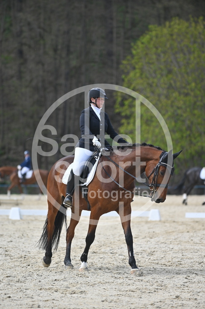 DSC_4693 | sattelsport - Realisiert mit Pictrs.com