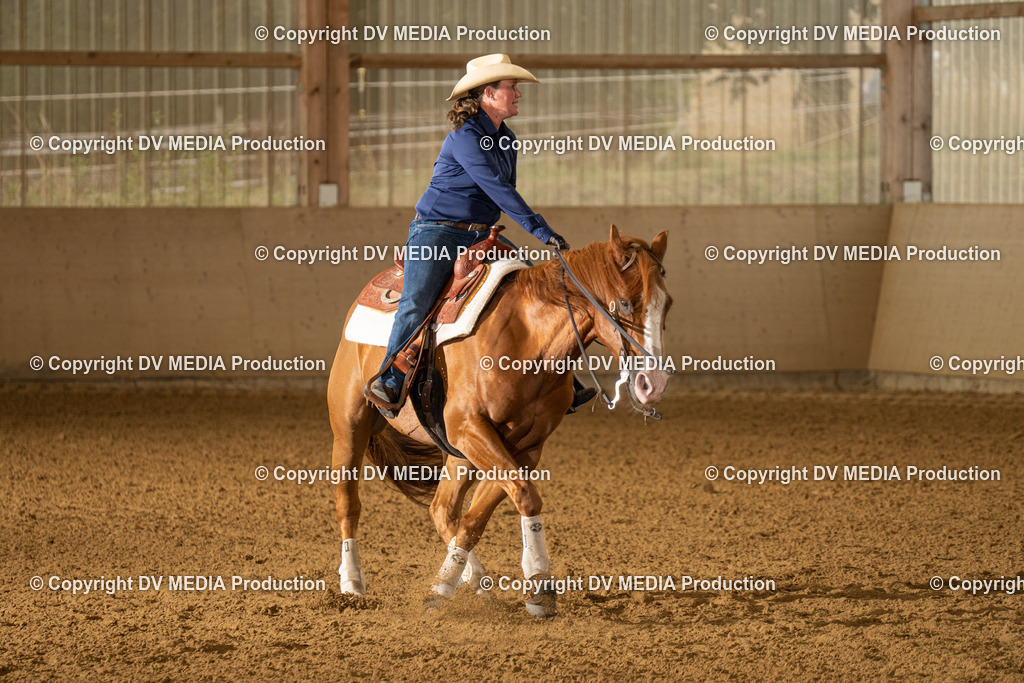 LAU00891 | dv-media-shop - Realisiert mit Pictrs.com