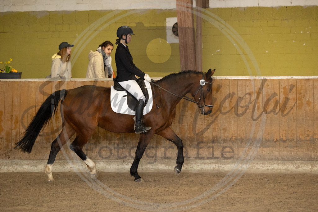 994A8620 | sabrinanicolaifotografie - Realisiert mit Pictrs.com