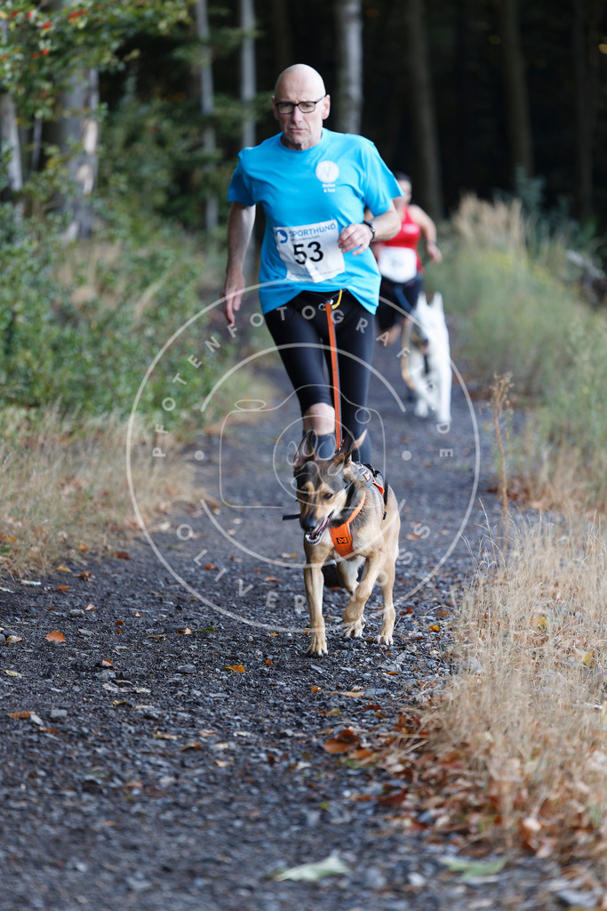 0L8A1805 | Hundefotografie, Tierfotograf, Pfotenfotografie, Fotoshooting Hund, Hunde Portrait, Hundesport, Hundeportraits, Heideshooting, Hunde, Sportfotograf, Hundefotograf, Turnierhundsport, THS,  - Realisiert mit Pictrs.com