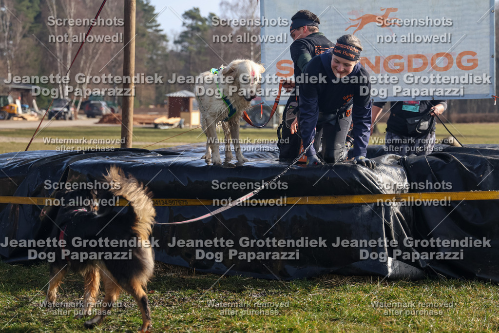 Dog Paparazzi - Strongdog North Mrz26-739 | Dog Paparazzi Jeanette Grottendiek Fotografie & Videografie - Realisiert mit Pictrs.com