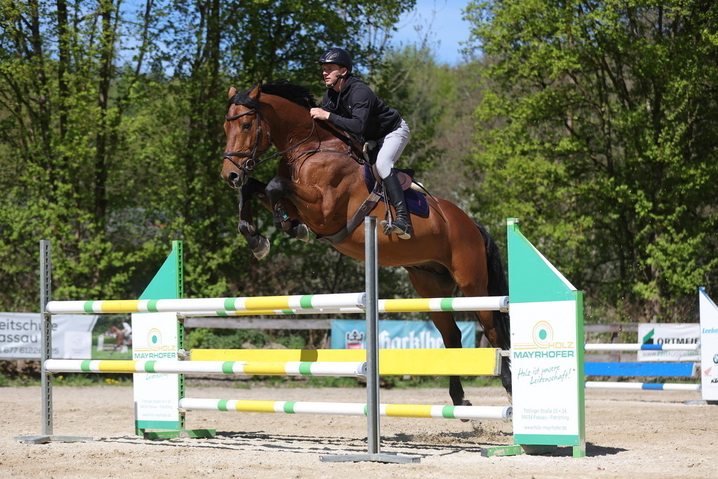 0P6A8170 | Willkommen bei Brunnmayr - Design & Fotografie – Ihrem Spezialisten für Reitturniere und Pferdeveranstaltungen in Oberösterreich, Salzburg und Bayern! Seit über 17 Jahren sind wir leidenschaftlich dabei.