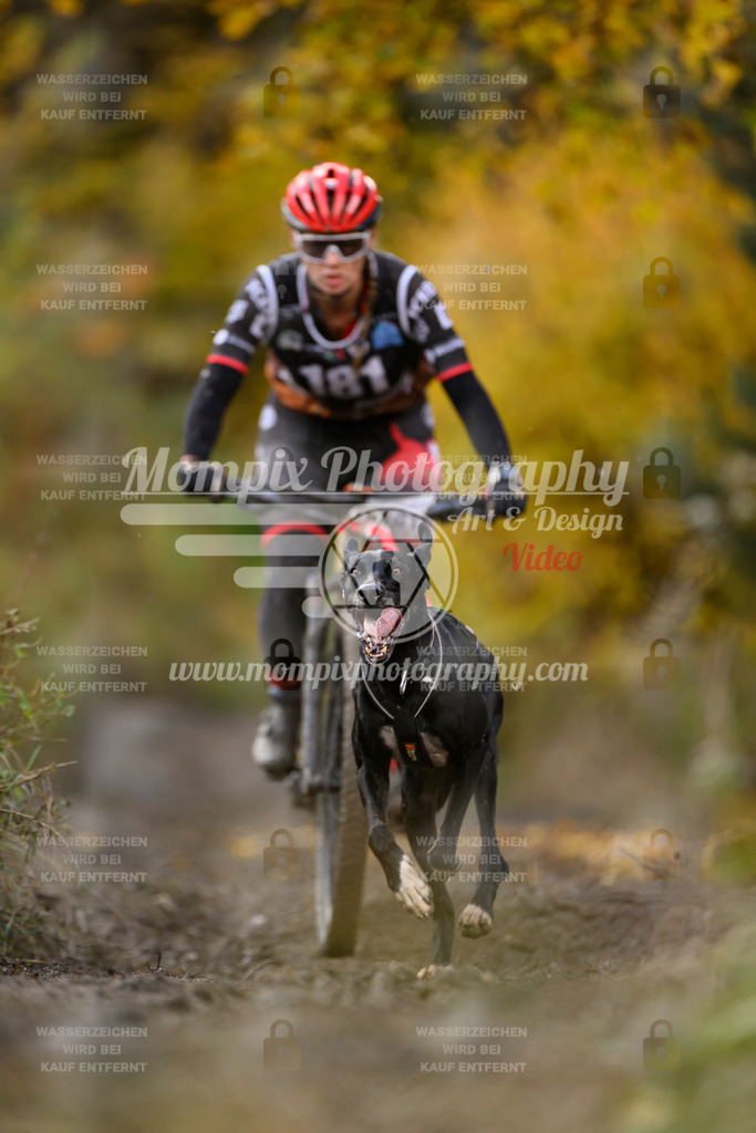 MompixPhotography_ICF_WC_2024_SA_Bike_-269 | PayLife