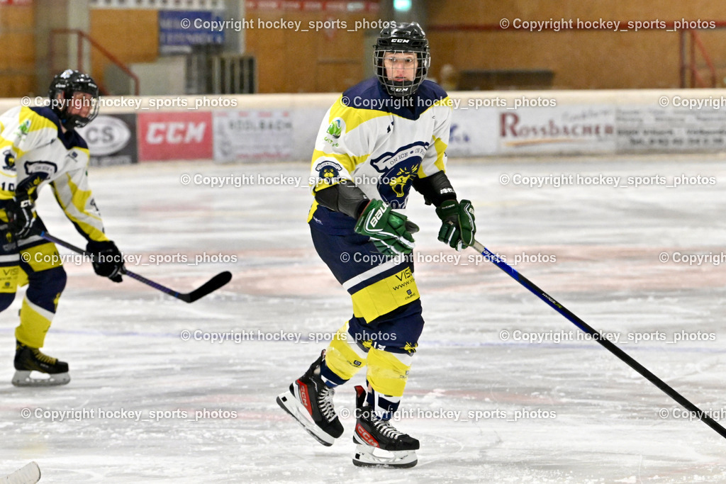Wildcats Paternion vs. Lady Hawks  | #13 Stromberger Nicole WILDCATS PATERNION, Wildcats Paternion vs. Lady Hawks , Wildcats Paternion vs. Lady Hawks  am 27.01.2025 in Spittal an der Drau (Eissportzentrum Spittal), Austria, (Photo by Bernd Stefan)