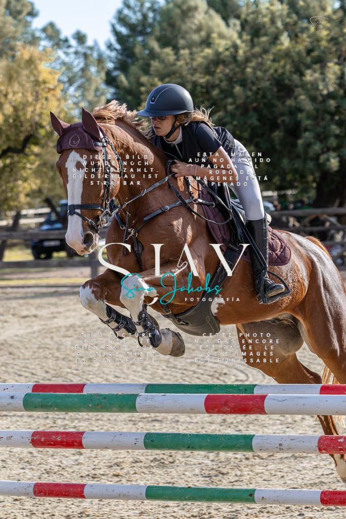 IMG_0189 | s-jay-photography - Realisiert mit Pictrs.com