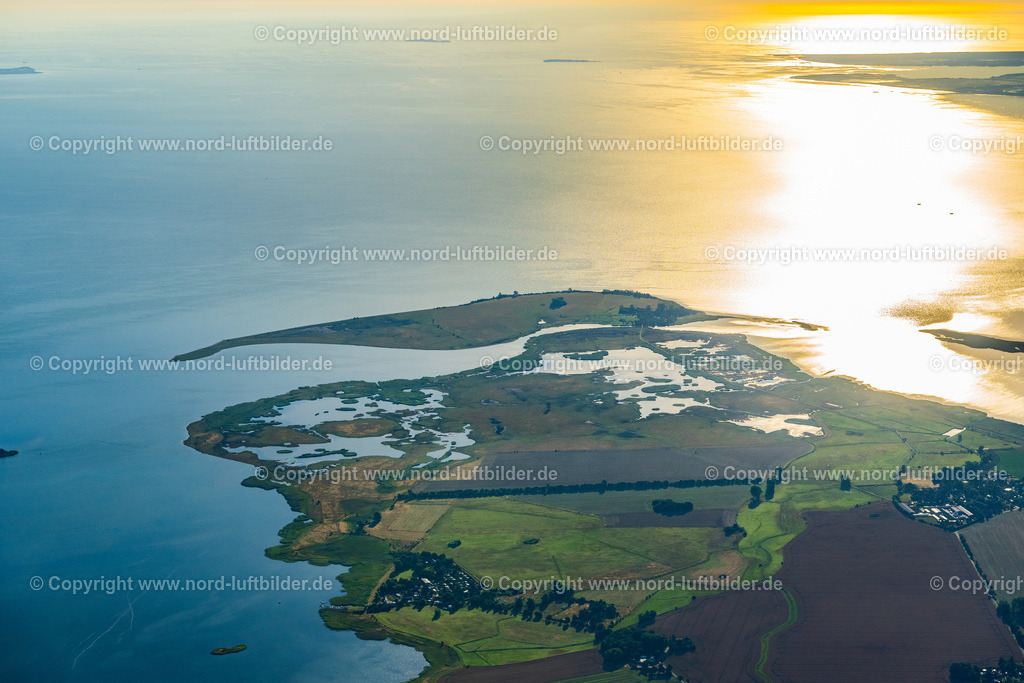 Koos_Insel_ELS_6783100822 | HANSESTADT GREIFSWALD 10.08.2022 Uferbereiche der See- Insel Koos und Naturschutzgebiet im Greifswalder Bodden in Greifswald im Bundesland Mecklenburg-Vorpommern, Deutschland. // Lake Island Koos and Naturschutzgebiet in Greifswalder Bodden in Greifswald in the state Mecklenburg - Western Pomerania, Germany. Foto: Martin Elsen