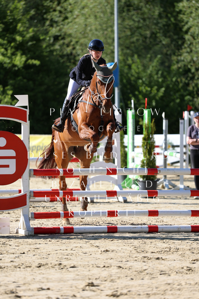 IMGS5506 | pl-fotografie