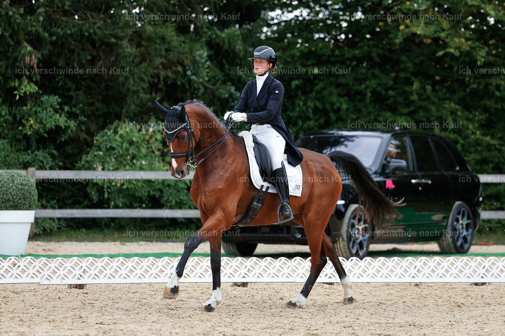 11-048-Dressur S___-StoibPH-1407 | working equitationturnier fotograf videograf stoibphotography marixx film working equitation deutschland reitsport turnierfotografie eventfotografie equestrian events