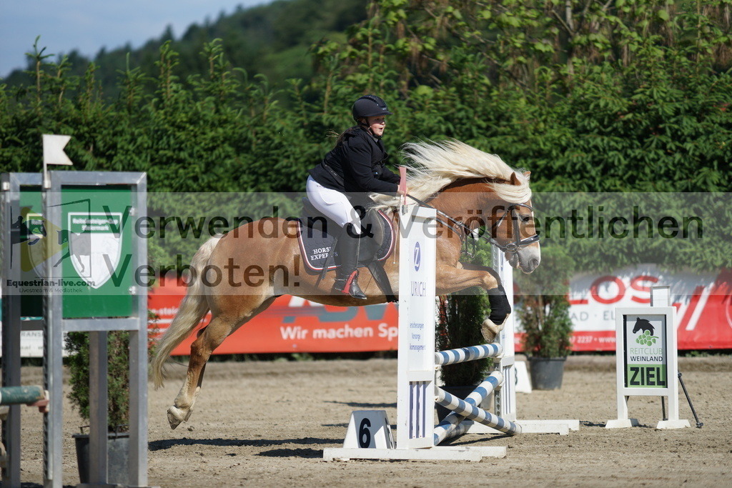 DSC06103 | equestrian-live-com