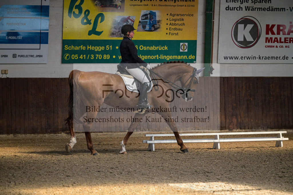 Reitturnier Voxtrup | Entdecke hochwertige Reitturnierfotos von Foto Oger. Professionell, emotional und authentisch – jetzt Lieblingsmomente im Shop bestellen.Deutschlandweite Turnierfotografie. - Realisiert mit Pictrs.com