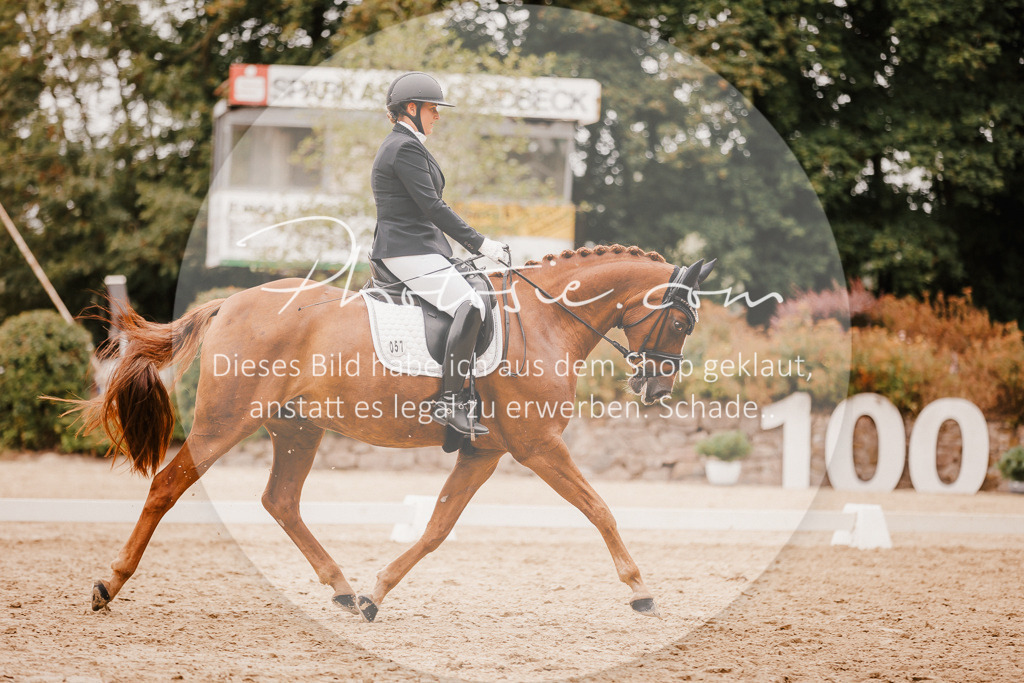 3I6A5902 | Stimmungsvolle Portraits und Reitsportfotografie im Ruhrgebiet und im Münsterland.

Pferdefotografie, Hundefotografie, Tierfotografie, Reportagen, Portraits von Tier und Mensch, Turnierfotografie in Bochum, Recklinghausen, Marl, Haltern am See, Dülmen.. - Realisiert mit Pictrs.com