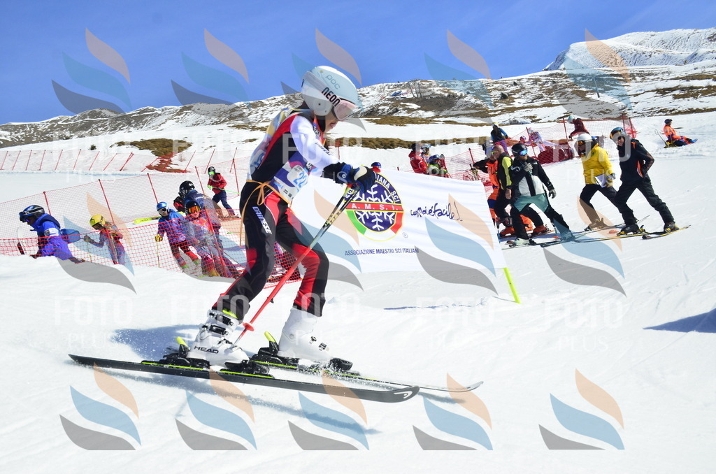 _ELE9901 | holidayphoto