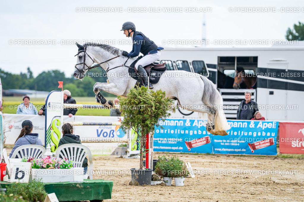 DSC06965 | Pferdegrafie