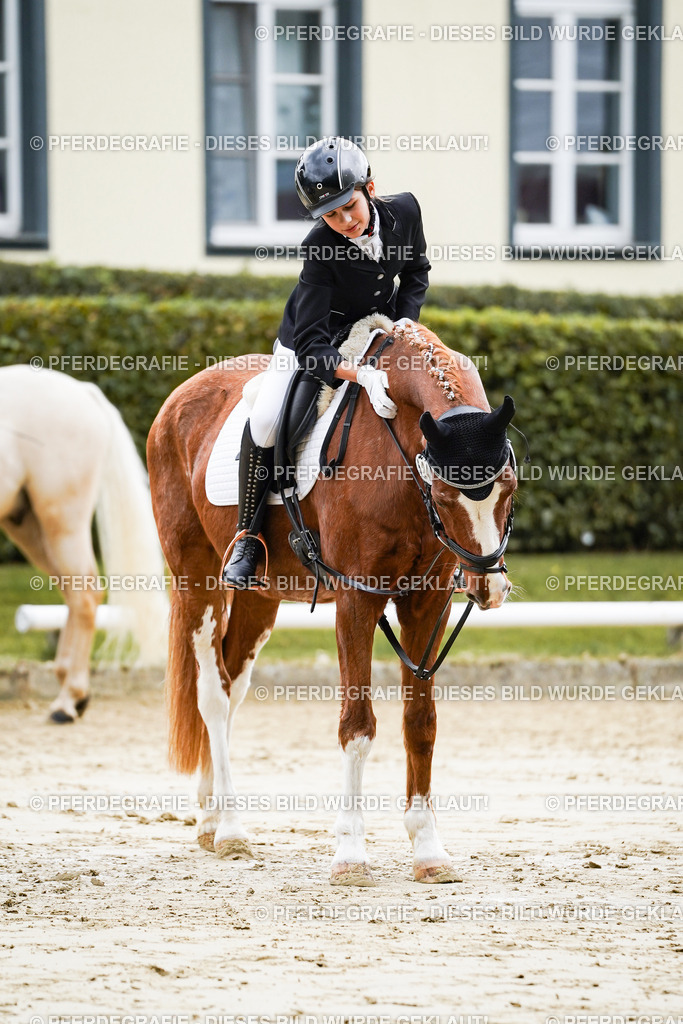 DSC05693 | Pferdegrafie