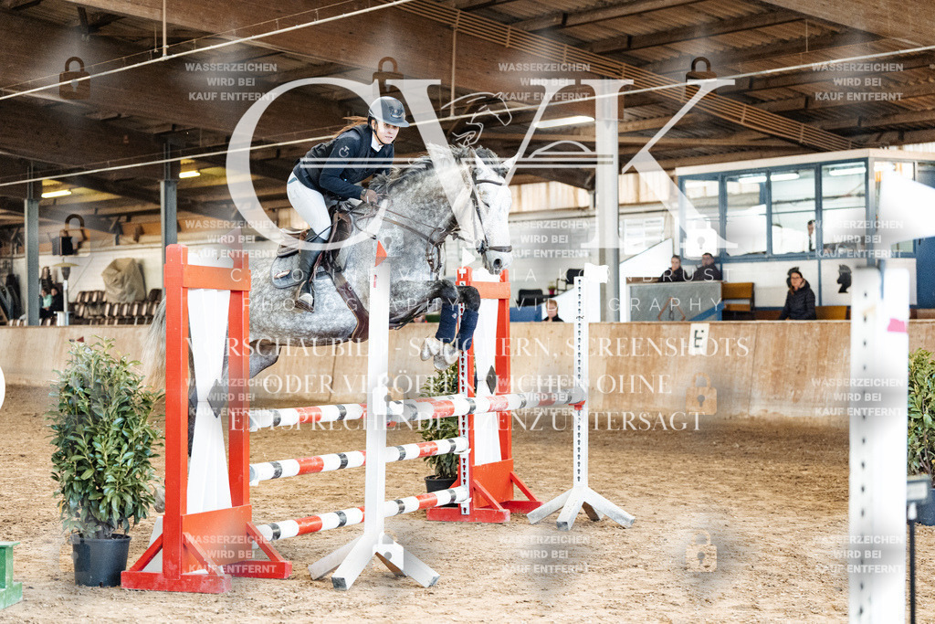 CK904892 | Turnierfotografie Pferdefotografie Trier Rheinland-Pfalz Pferdesport Reitsport Tierfotografie Sportfotografie Pferdevideo Pferdevideografie Equestrianvideography equestrianphotography  - Realisiert mit Pictrs.com