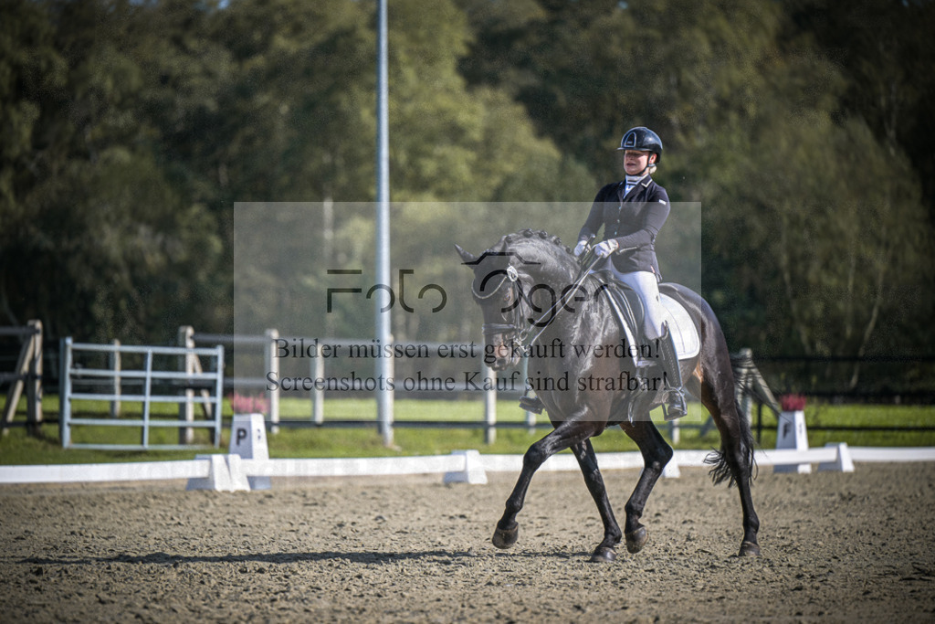 DOS_1283 | Entdecke hochwertige Reitturnierfotos von Foto Oger. Professionell, emotional und authentisch – jetzt Lieblingsmomente im Shop bestellen.Deutschlandweite Turnierfotografie. - Realisiert mit Pictrs.com