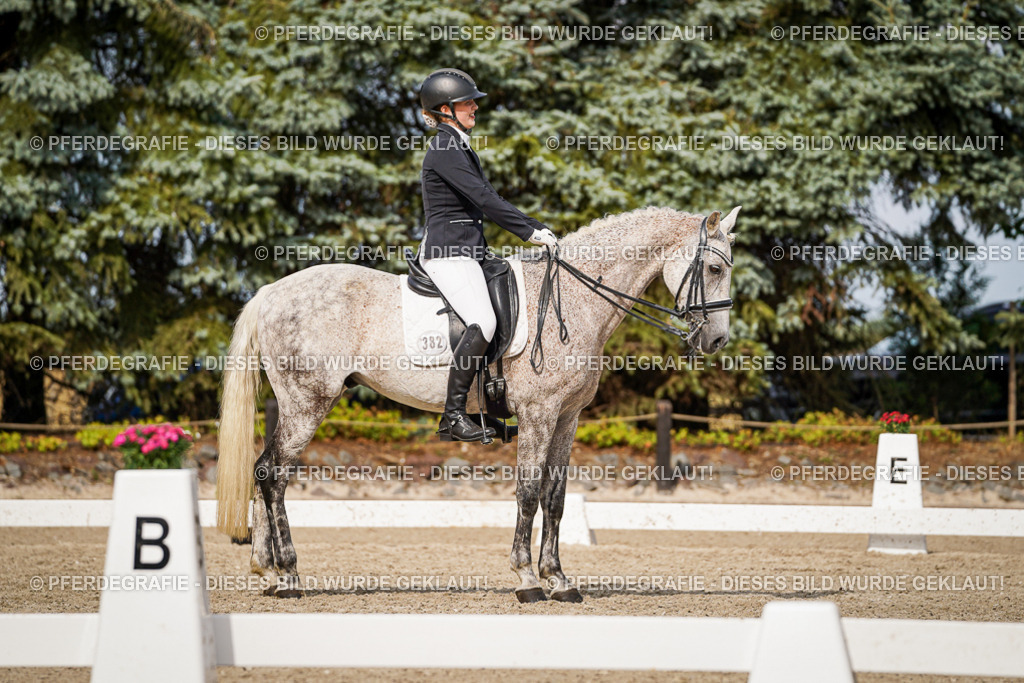 DSC07033 | Pferdegrafie