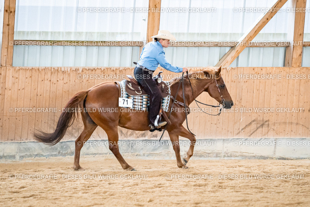 DSC02962 | Pferdegrafie