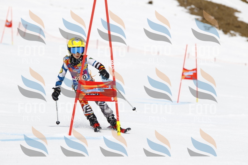 _U3G6764 | holidayphoto