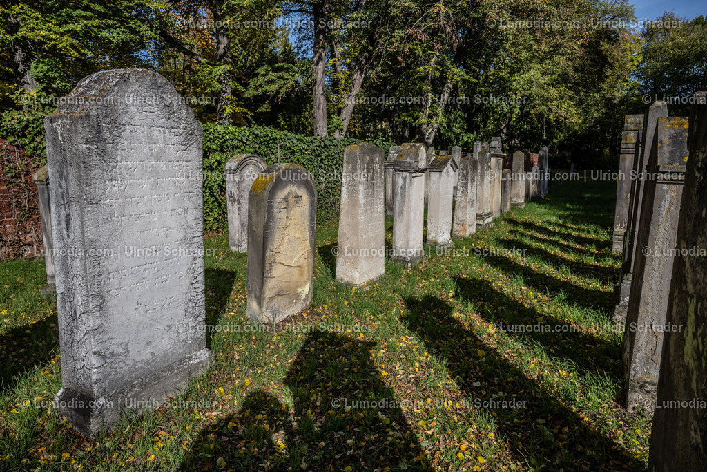 10049-12663 - Jüdische Friedhöfe Halberstadt | Stockfoto und Bilderpool mit Bildmaterial aus Deutschland, dem Harz, Halberstadt, Quedlinburg, Wernigerode und weltweit. Qualitativ hochwertige und professionelle Fotos anschauen und kaufen. - Realisiert mit Pictrs.com