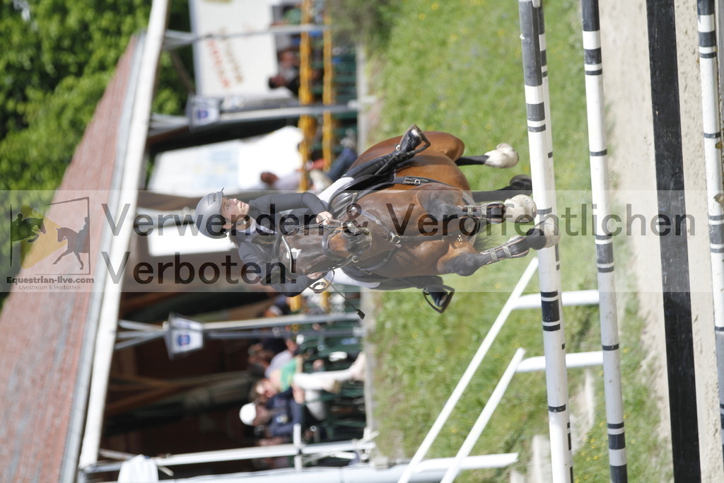 _MG_8843 | equestrian-live-com