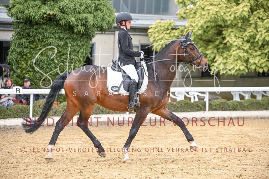 Schugtsche-Aluta25-43.EDressur -27 | Schugtsche Fotografie - Realisiert mit Pictrs.com