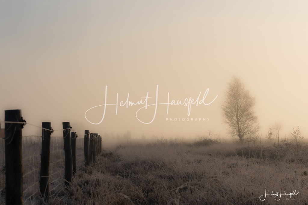 DSC00595 | Landschaftsfotografie, Naturfotografie - Realisiert mit Pictrs.com