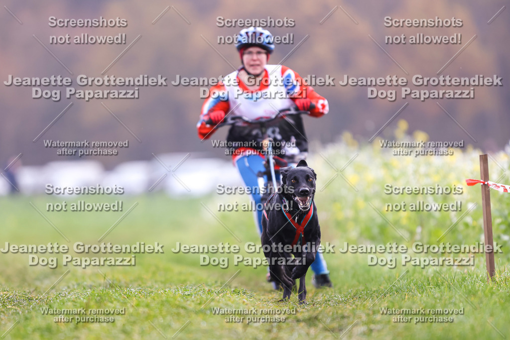 Dog Paparazzi - Visbeck 25 -305 | Dog Paparazzi Jeanette Grottendiek Fotografie & Videografie - Realisiert mit Pictrs.com