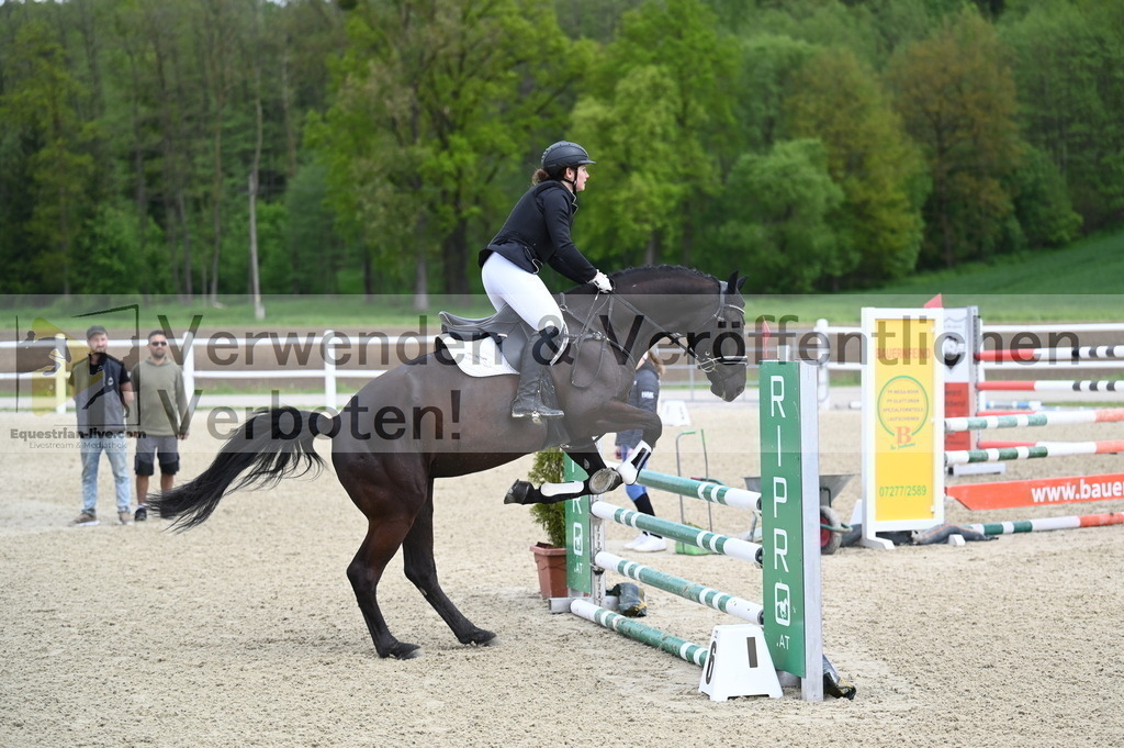 DSC_0656 | equestrian-live-com