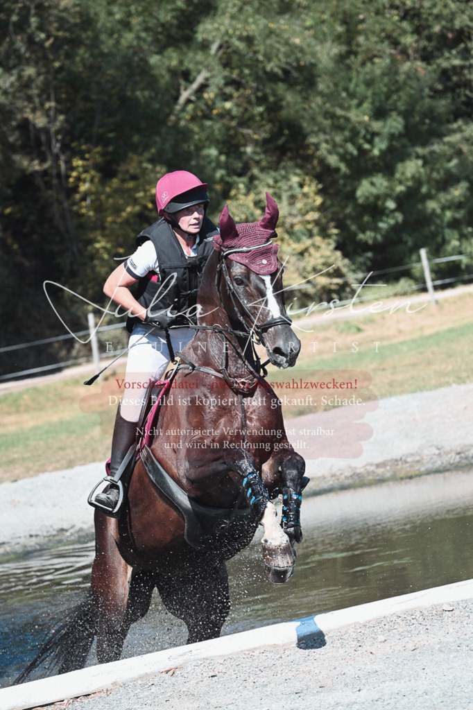 DSC_8550 | Pferde- und Turnierfotografie in Westsachsen. Pferdeportraits, Auftragszeichnungen und intuitive Kunst.