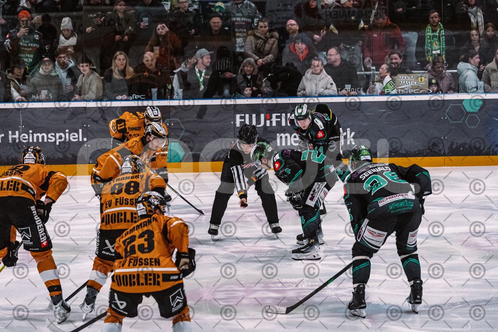 Alligators_vs_Fuessen_06_03_2026_PP-19 | Höchstadt Alligators Fotogalerie: Eishockey-Action aus Franken. Professionelle Spielfotos, Portraits & Stadionbilder zum Download. Jetzt entdecken! - Realisiert mit Pictrs.com