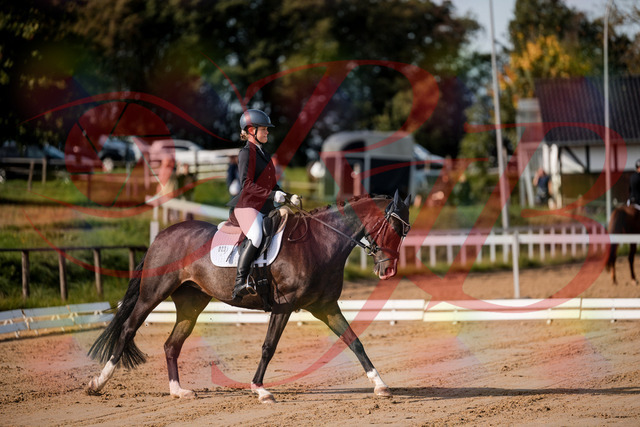 2026_10_03_Siefer-Hof_113523_Z63_21204376 | Professionelle Reitsport-, Turnier- und Eventfotografie von Robert Broda. Galerien mit ausgewählten und bearbeiteten Bildern direkt online ansehen und bestellen.