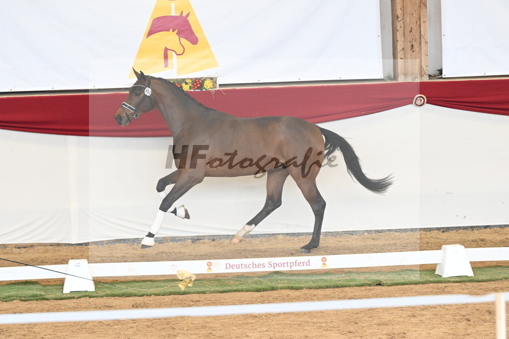 Kat.-Nr. 82 v. Va_ Pensiero_Stuppert_3261170 | hf-fotografie - Realizzato con Pictrs.com