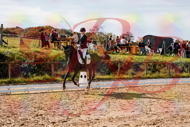 2026_10_03_Siefer-Hof_125632_Z63_63938593 | Professionelle Reitsport-, Turnier- und Eventfotografie von Robert Broda. Galerien mit ausgewählten und bearbeiteten Bildern direkt online ansehen und bestellen.